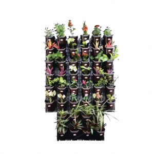 30058 vertiframe support system plant support trellis for climbing plants tomatoes cucumbers